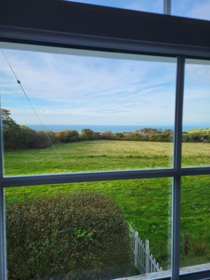 The Green Door Vegan B&B Llanon Dış mekan fotoğraf